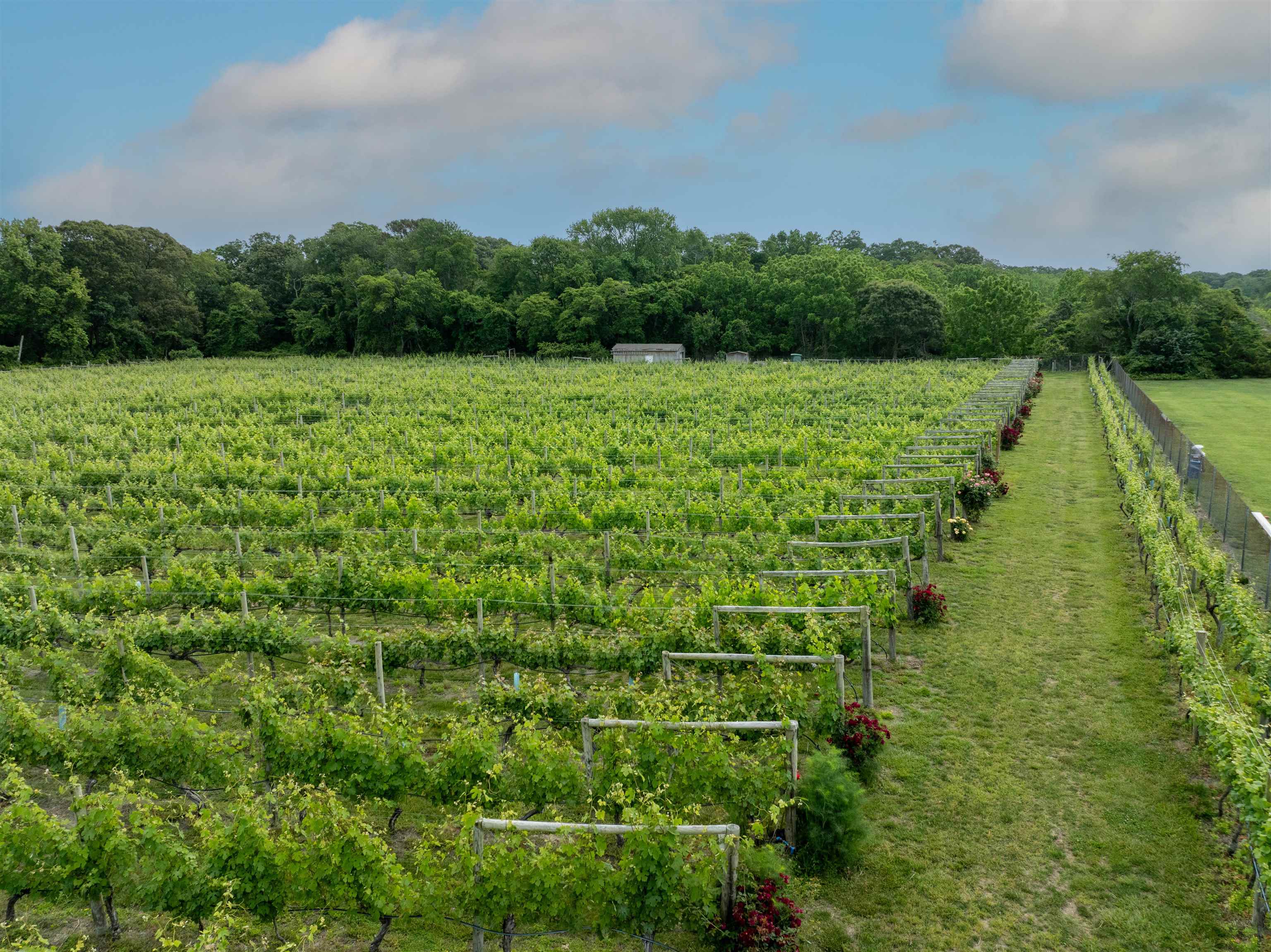 3911 Bayshore Road North Cape May, NJ 08204 - Photo 37 of 44 a view of a lake with green field