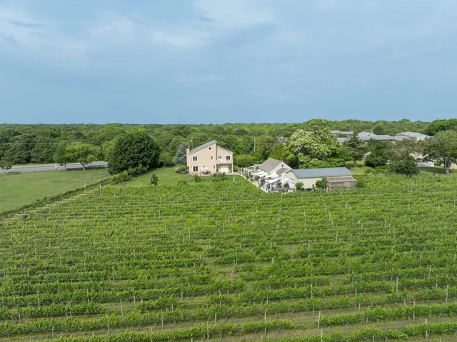 a aerial view of a house with a yard