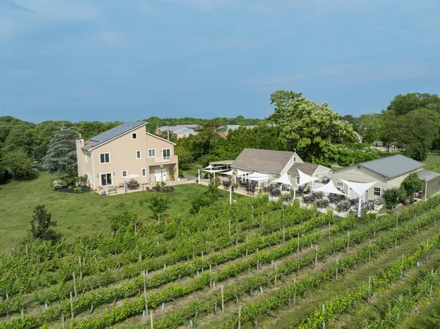an aerial view of residential house with outdoor space and trees around
