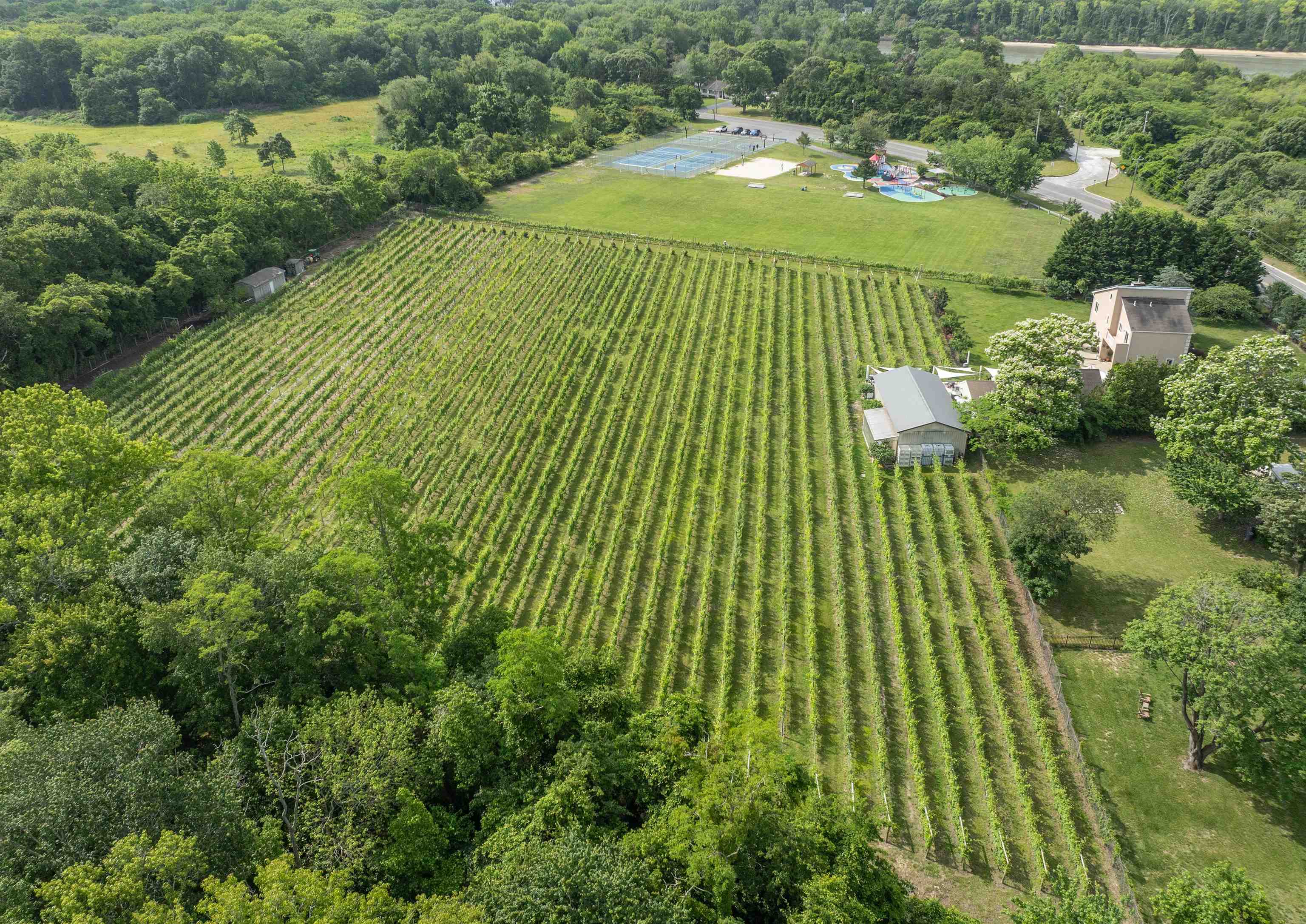 3911 Bayshore Road North Cape May, NJ 08204 - Photo 5 of 44 a view of a garden