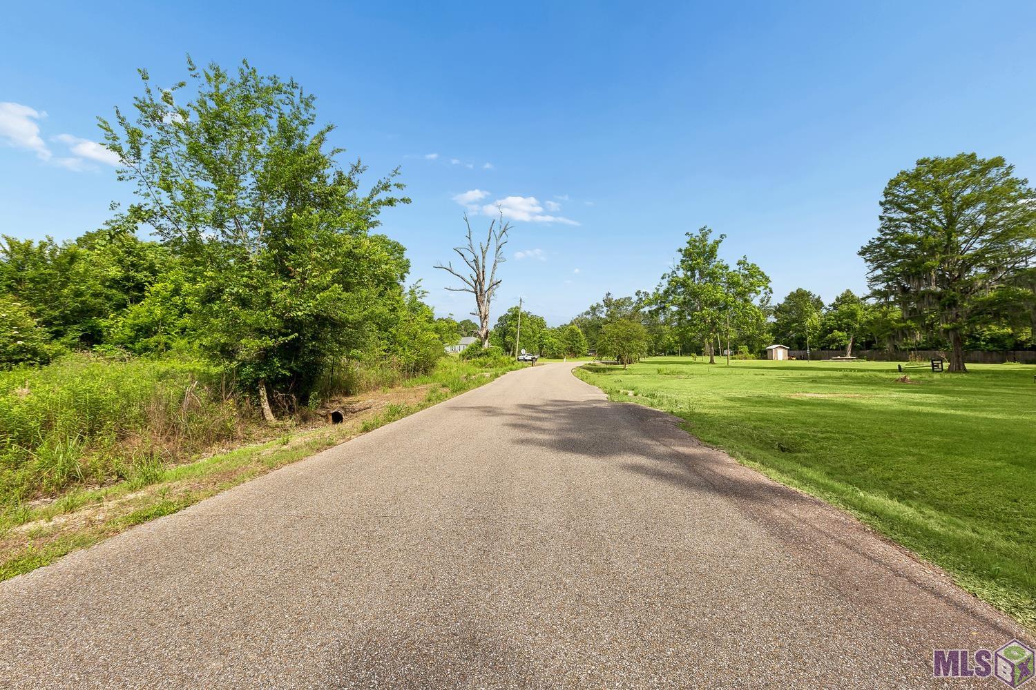 12246 Peter Bourgeois Road St. Amant, LA 70774 - Photo 4 of 21
