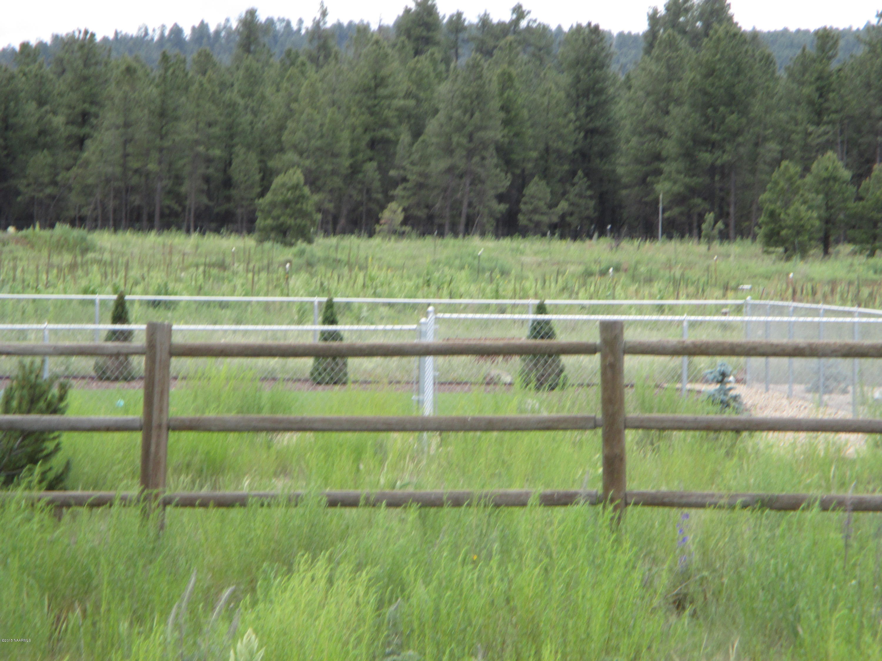 7780 North Bader Road Flagstaff, AZ 86001 - Photo 23 of 26 IMG_0086