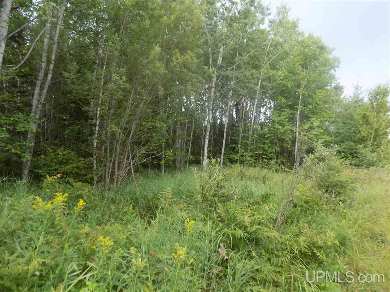 Tbd Mill Creek Road Republic, MI 49879 - Photo 9 of 11