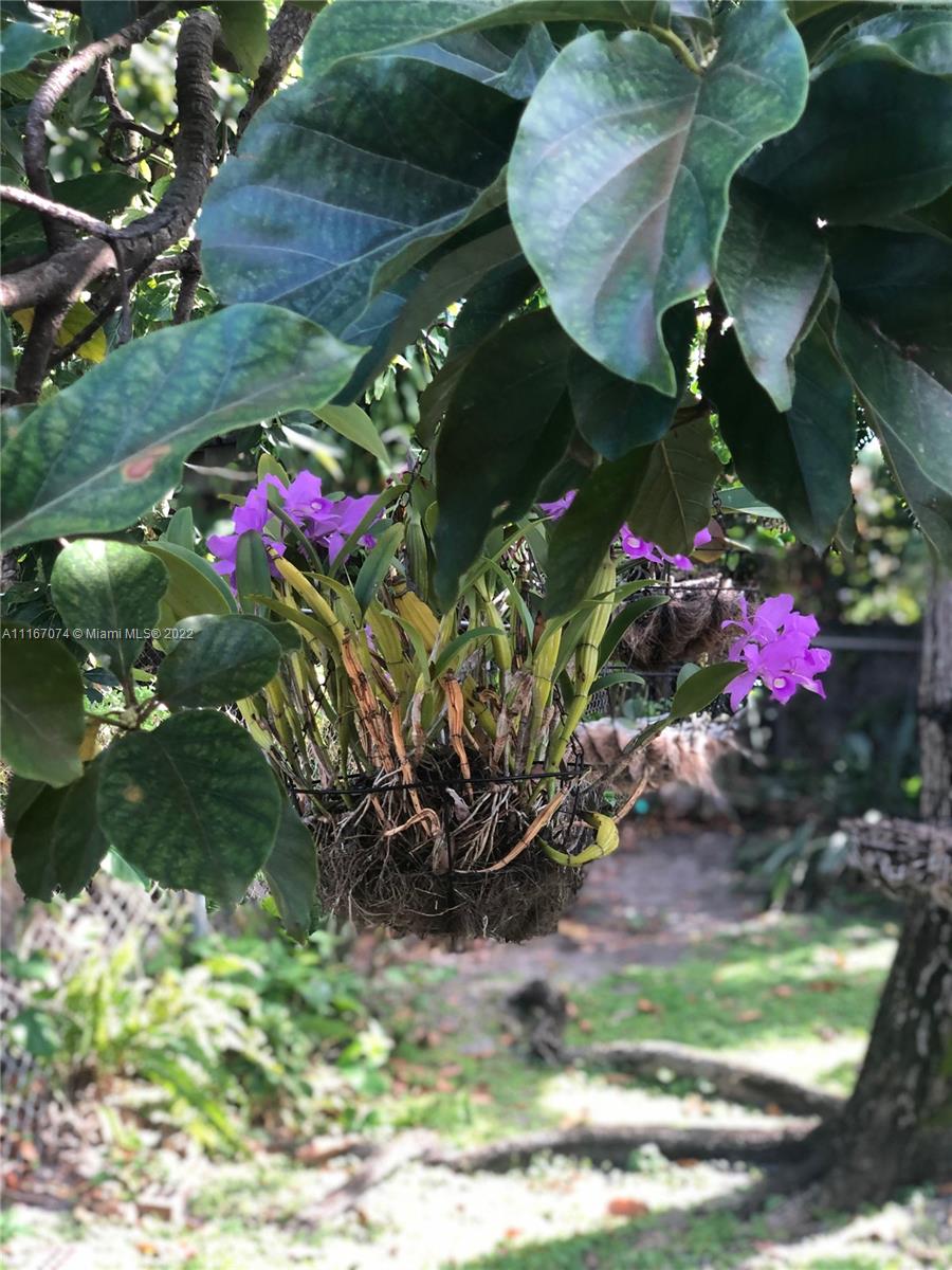 172 West 17th Street Hialeah, FL 33010 - Photo 27 of 27 a view of a interior in a yard