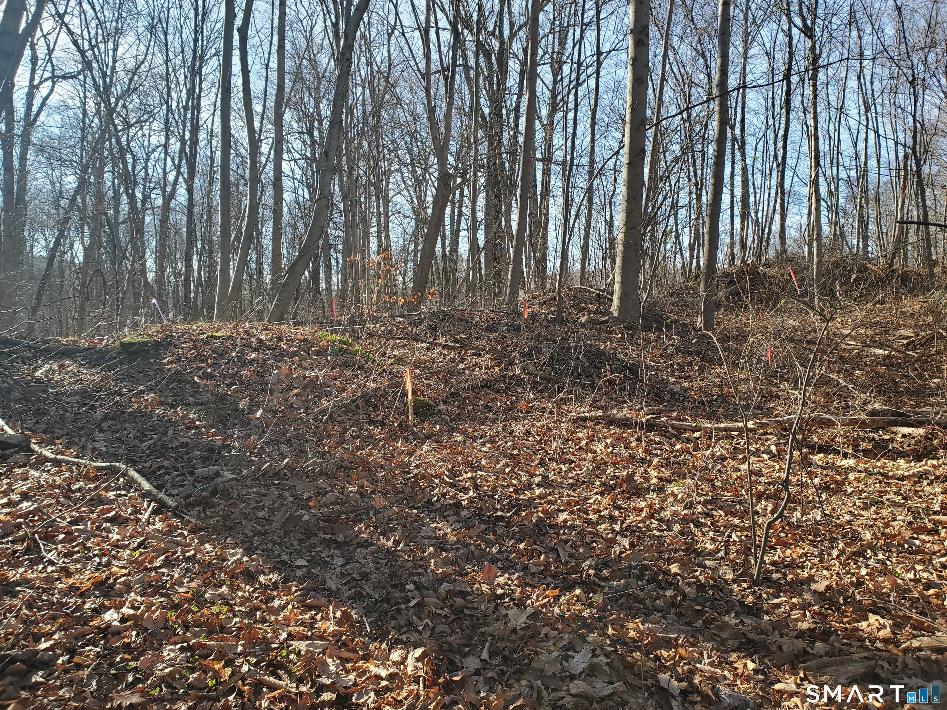 292 Deerfield Road Hamden, CT 06518 - Photo 12 of 18