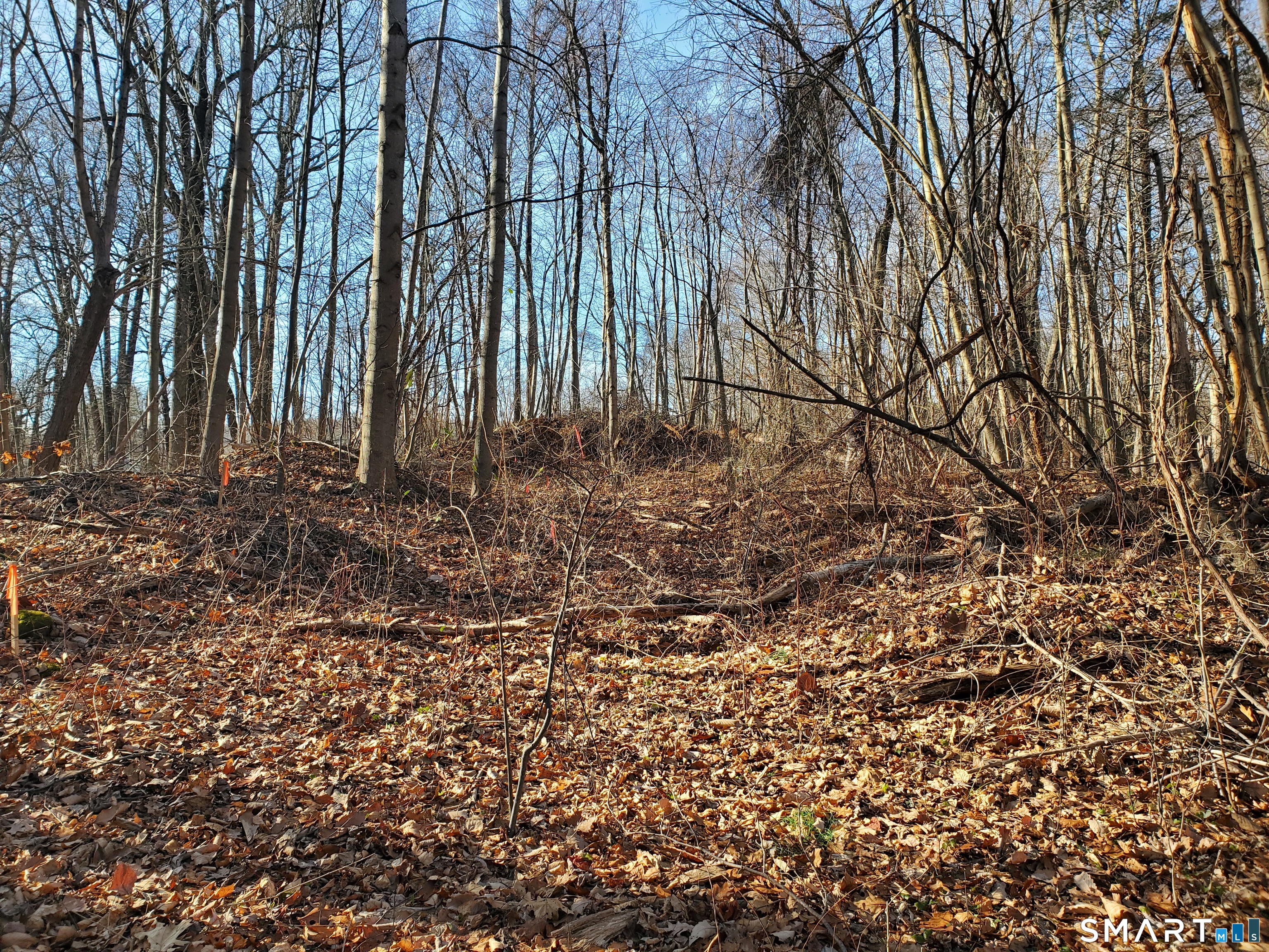 292 Deerfield Road Hamden, CT 06518 - Photo 13 of 18