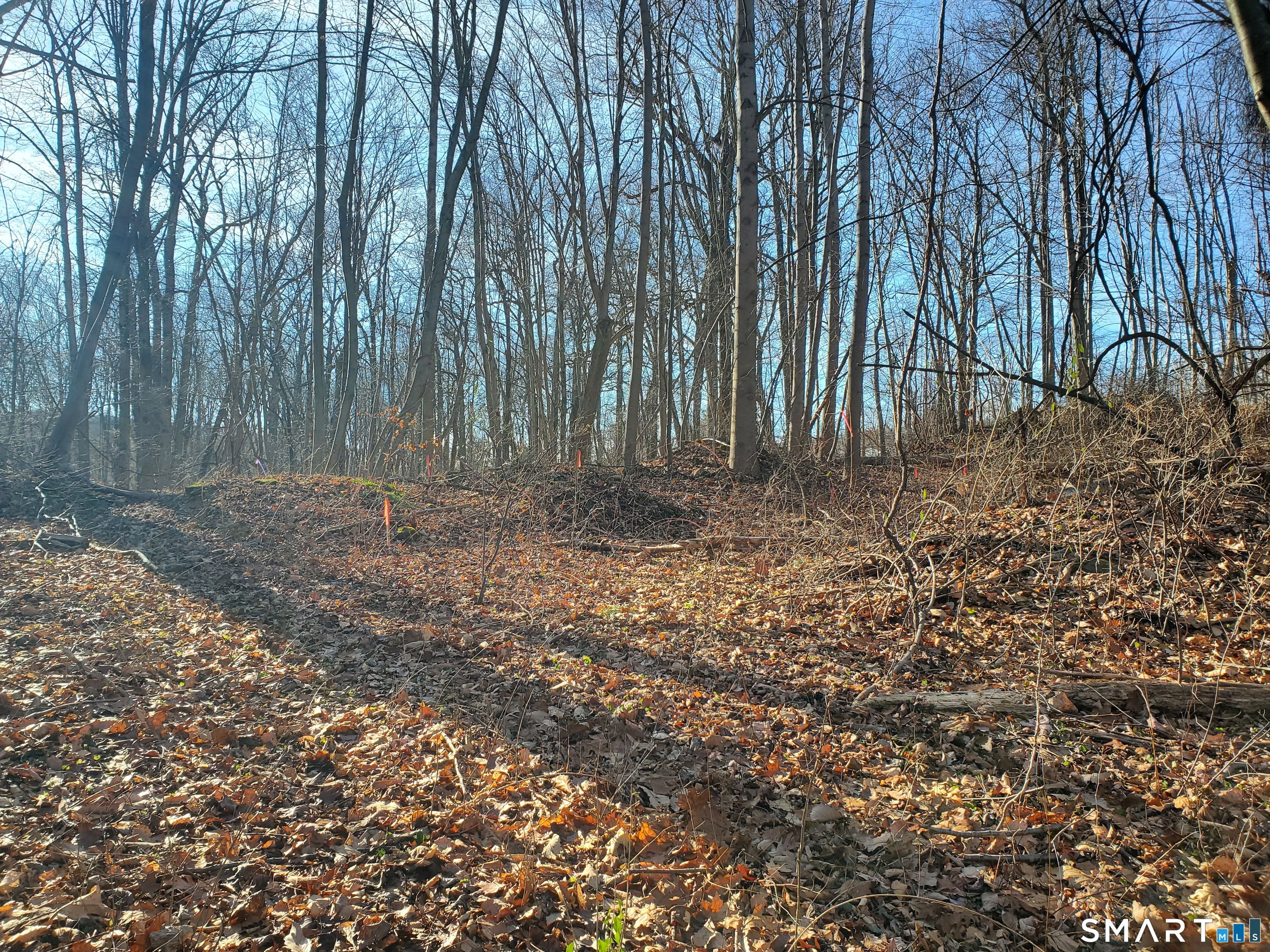 292 Deerfield Road Hamden, CT 06518 - Photo 14 of 18