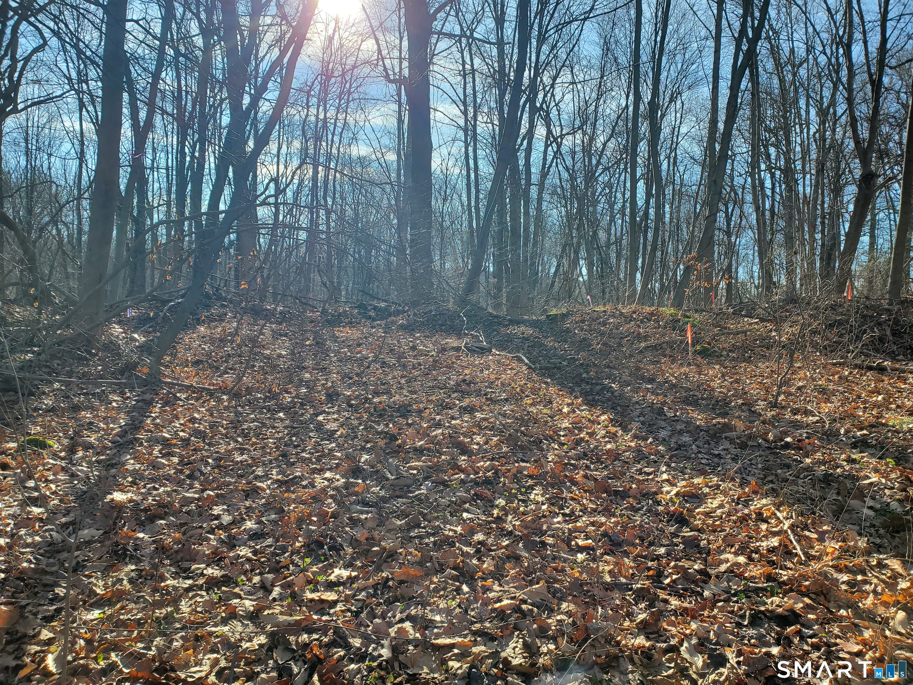 292 Deerfield Road Hamden, CT 06518 - Photo 15 of 18