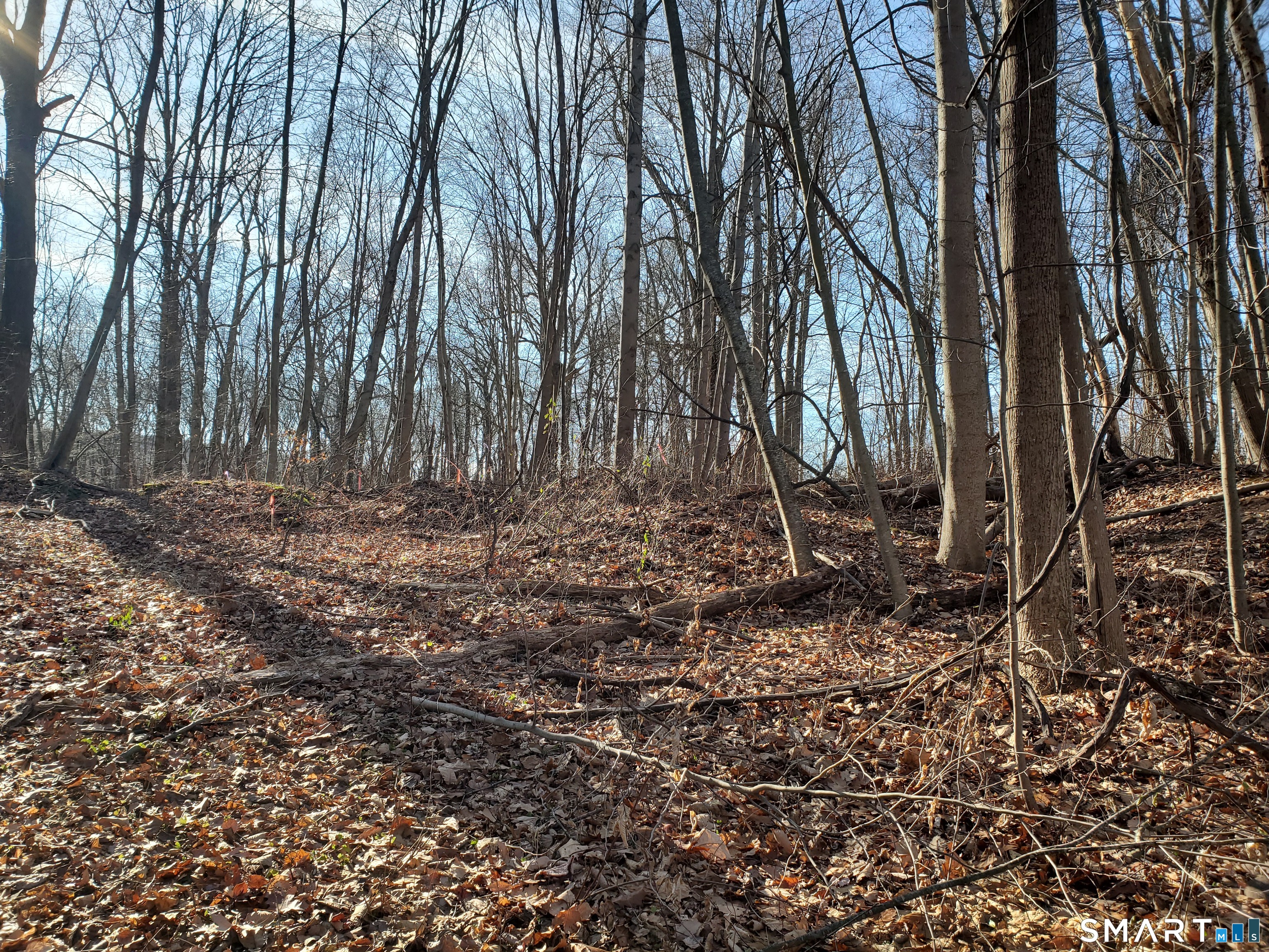 292 Deerfield Road Hamden, CT 06518 - Photo 17 of 18