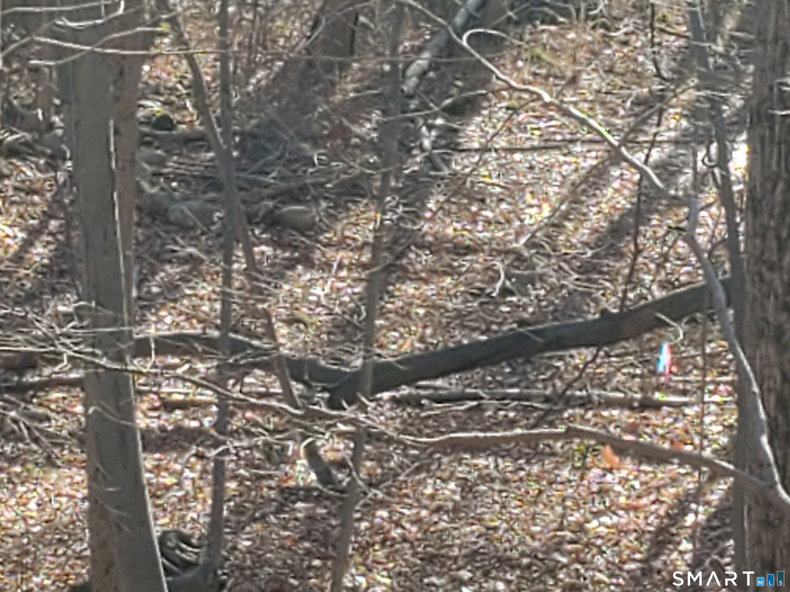 292 Deerfield Road Hamden, CT 06518 - Photo 3 of 18