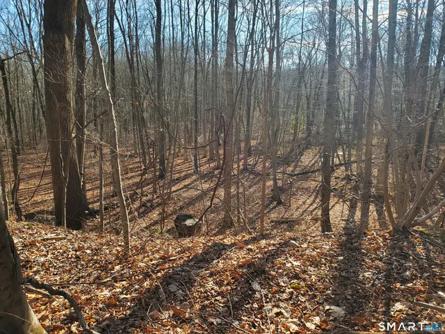 a view of a backyard of the house
