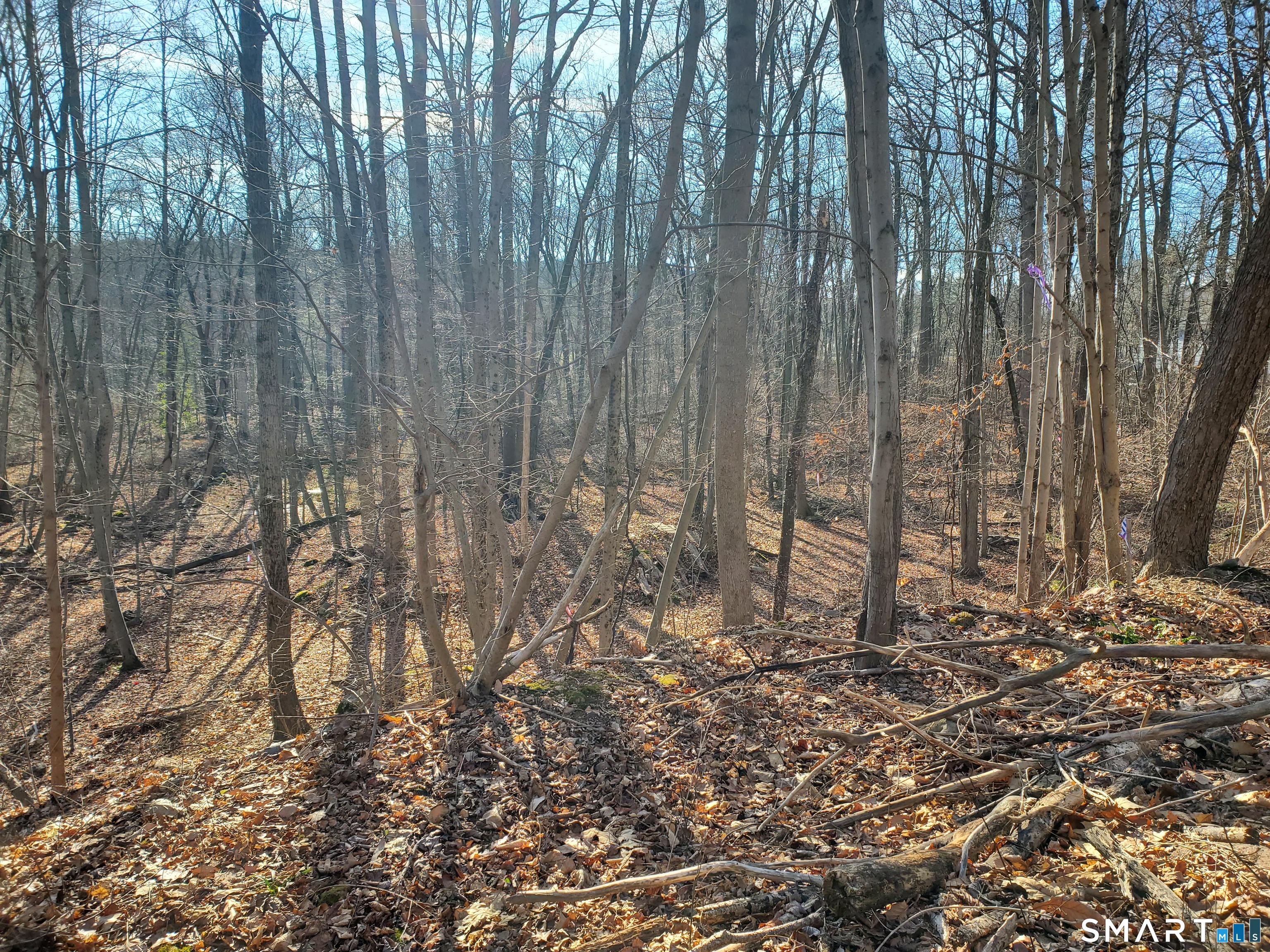 292 Deerfield Road Hamden, CT 06518 - Photo 5 of 18