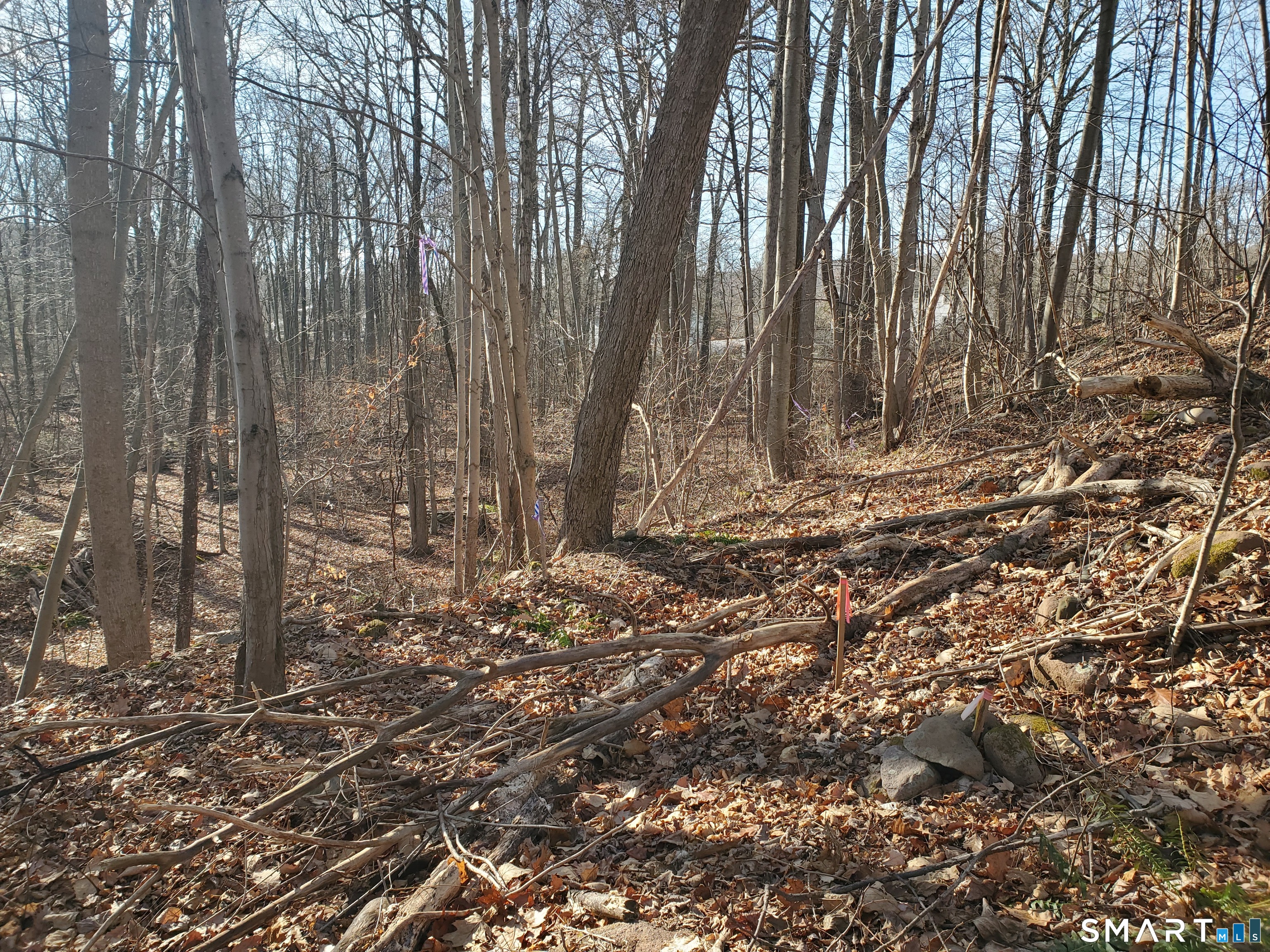 292 Deerfield Road Hamden, CT 06518 - Photo 6 of 18