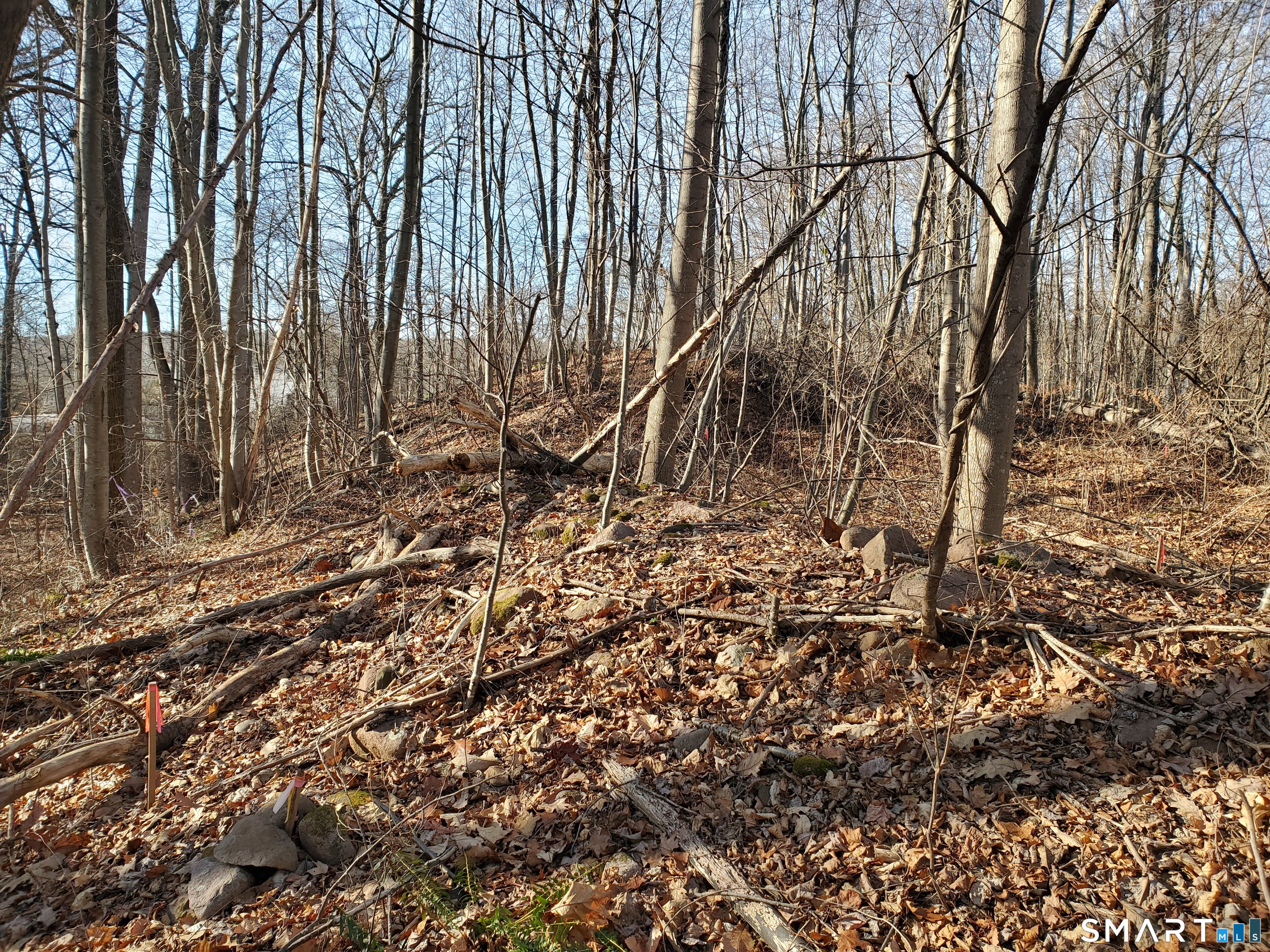 292 Deerfield Road Hamden, CT 06518 - Photo 7 of 18