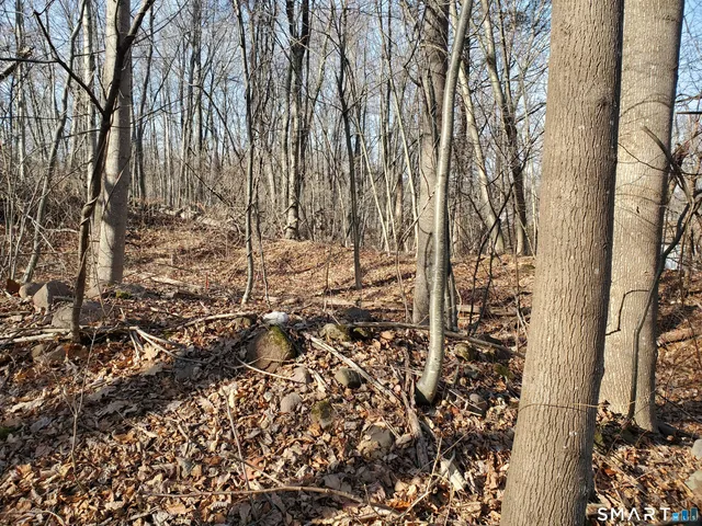 a view of outdoor space with trees