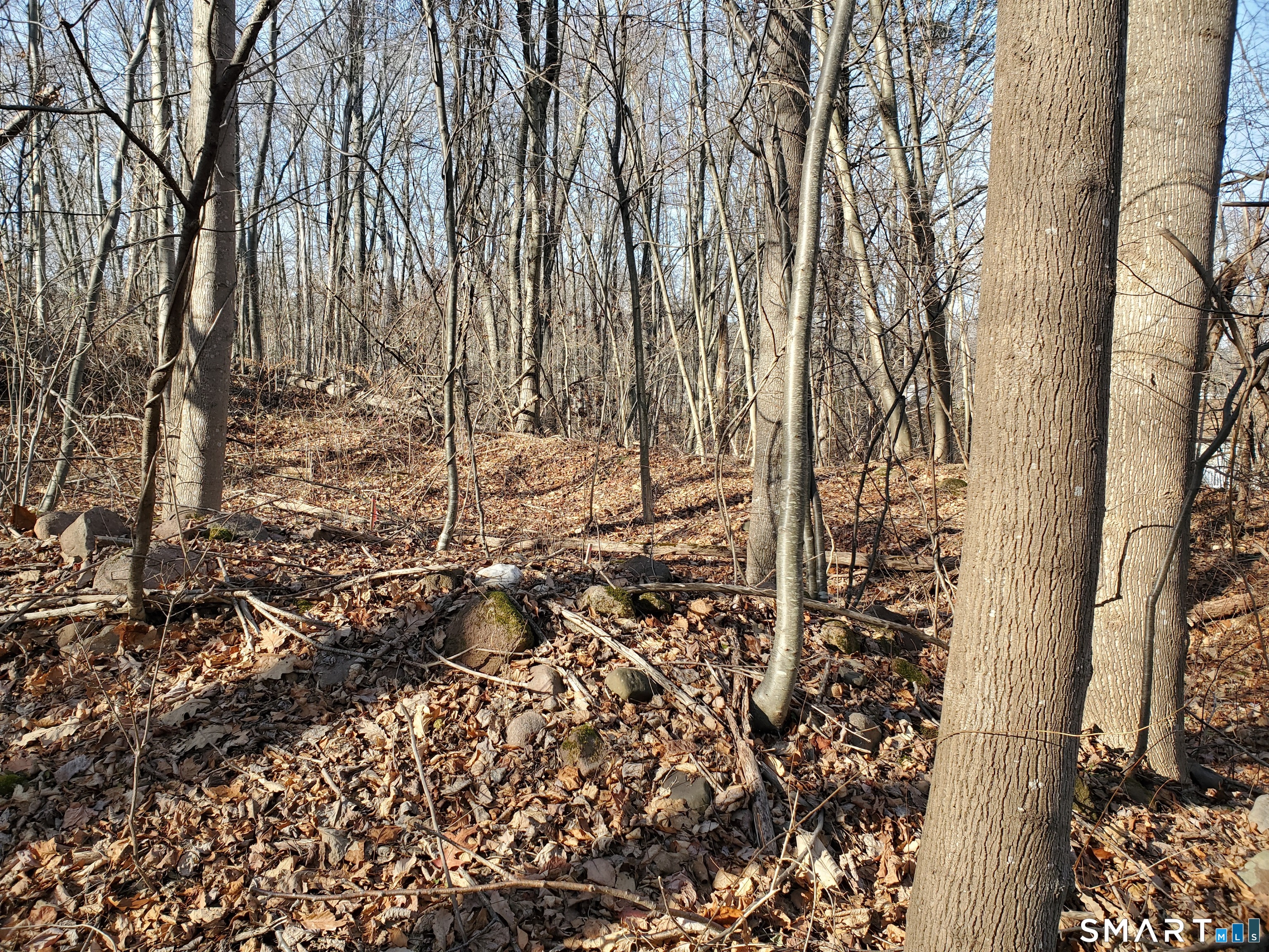 292 Deerfield Road Hamden, CT 06518 - Photo 8 of 18