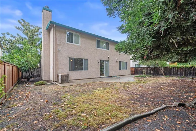 a backyard of a house with plants and large tree