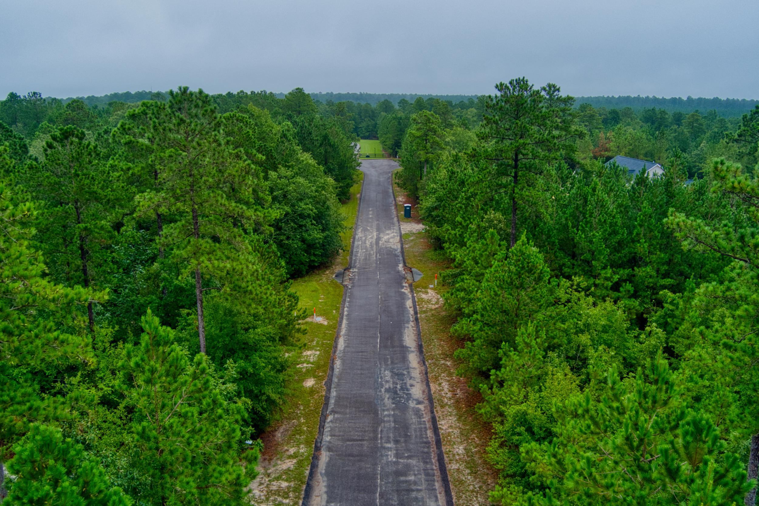 Lot 5 Cooks Pond Road Windsor, SC 29856 - Photo 9 of 23
