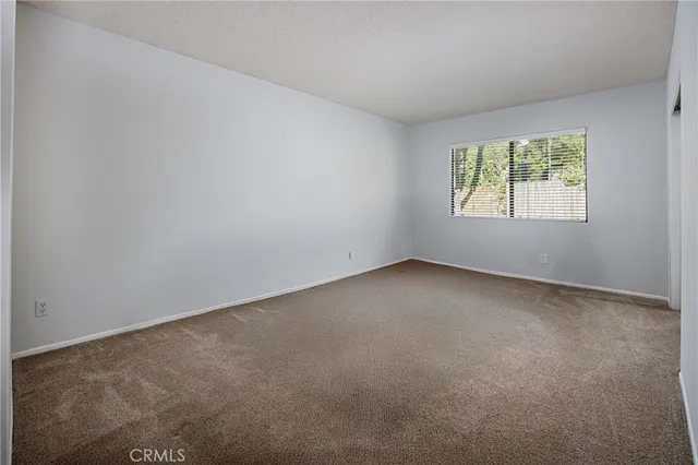 a view of backyard with plants and trees