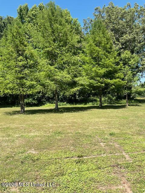 10550 West Commerce Street Hernando, MS 38632 - Photo 16 of 20 IMG_6629