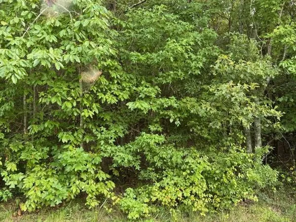 $135,000 | 1 Old Ridgeway Road, Tallapoosa, GA 30176