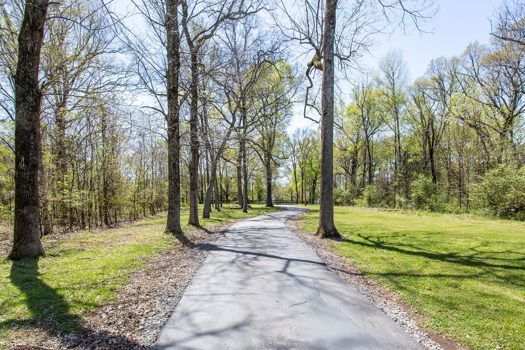631 Rutledge Ln. Lebanon, TN 37087 - Photo 3 of 65 Gallery Image 3