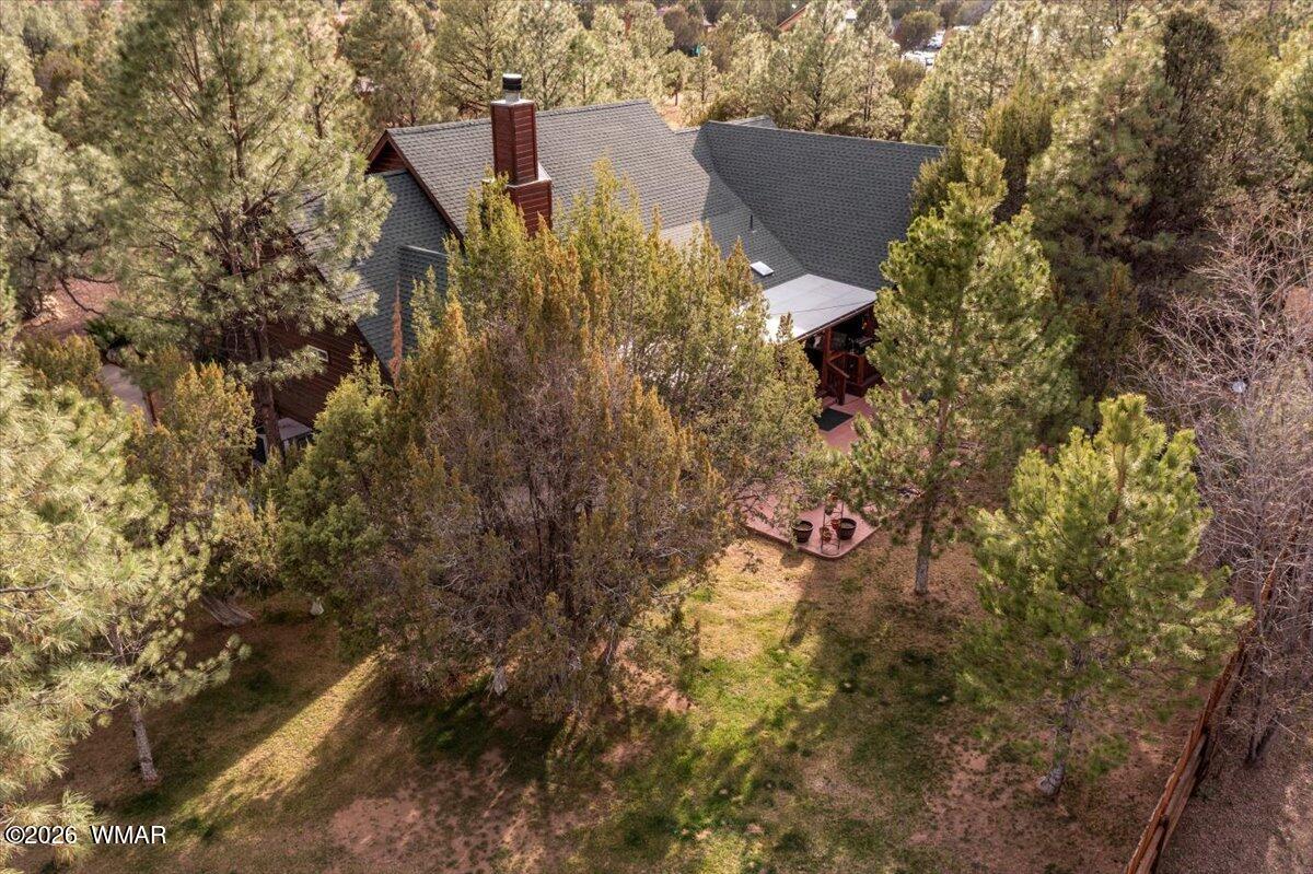 2952 Country View Lane Overgaard, AZ 85933 - Photo 65 of 77 66-DJI_0918