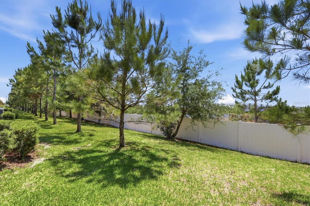 12909 Dream Catcher Way Riverview, FL 33579 - Photo 26 of 32 a view of yard with tree