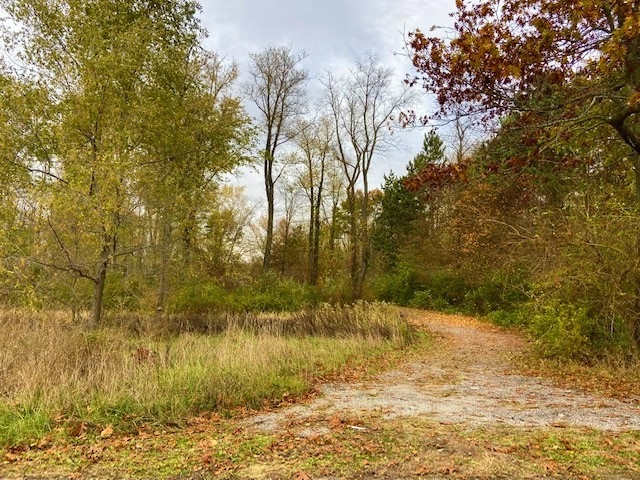 Tbd 17th Road Culver, IN 46511 - Photo 2 of 13 Gallery Image 2
