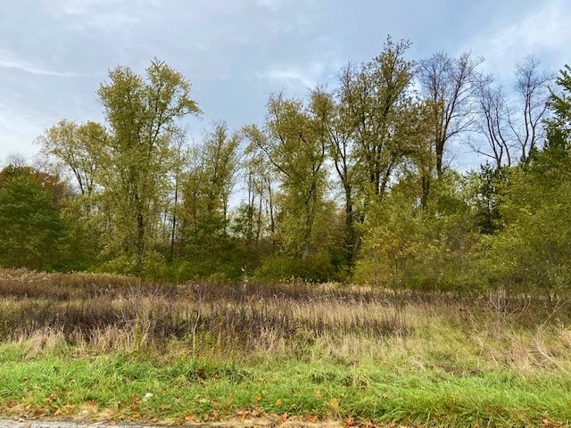 Tbd 17th Road Culver, IN 46511 - Photo 3 of 13 Gallery Image 3