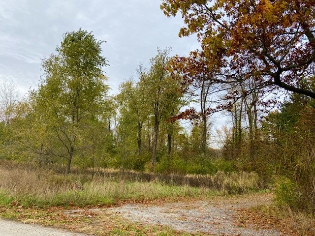 Tbd 17th Road Culver, IN 46511 - Photo 4 of 13 Gallery Image 4
