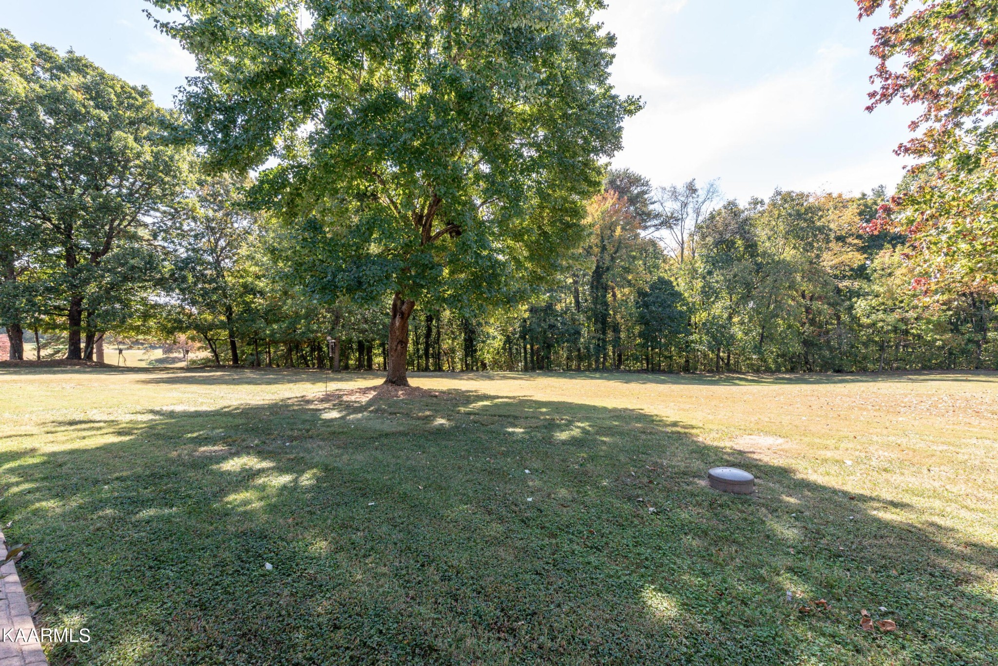2121 Bolinger Road Maryville, TN 37801 - Photo 49 of 59 Gallery Image 49