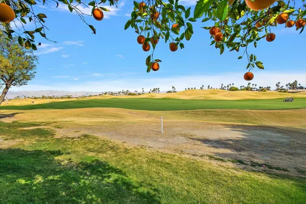 a view of an ocean and beach