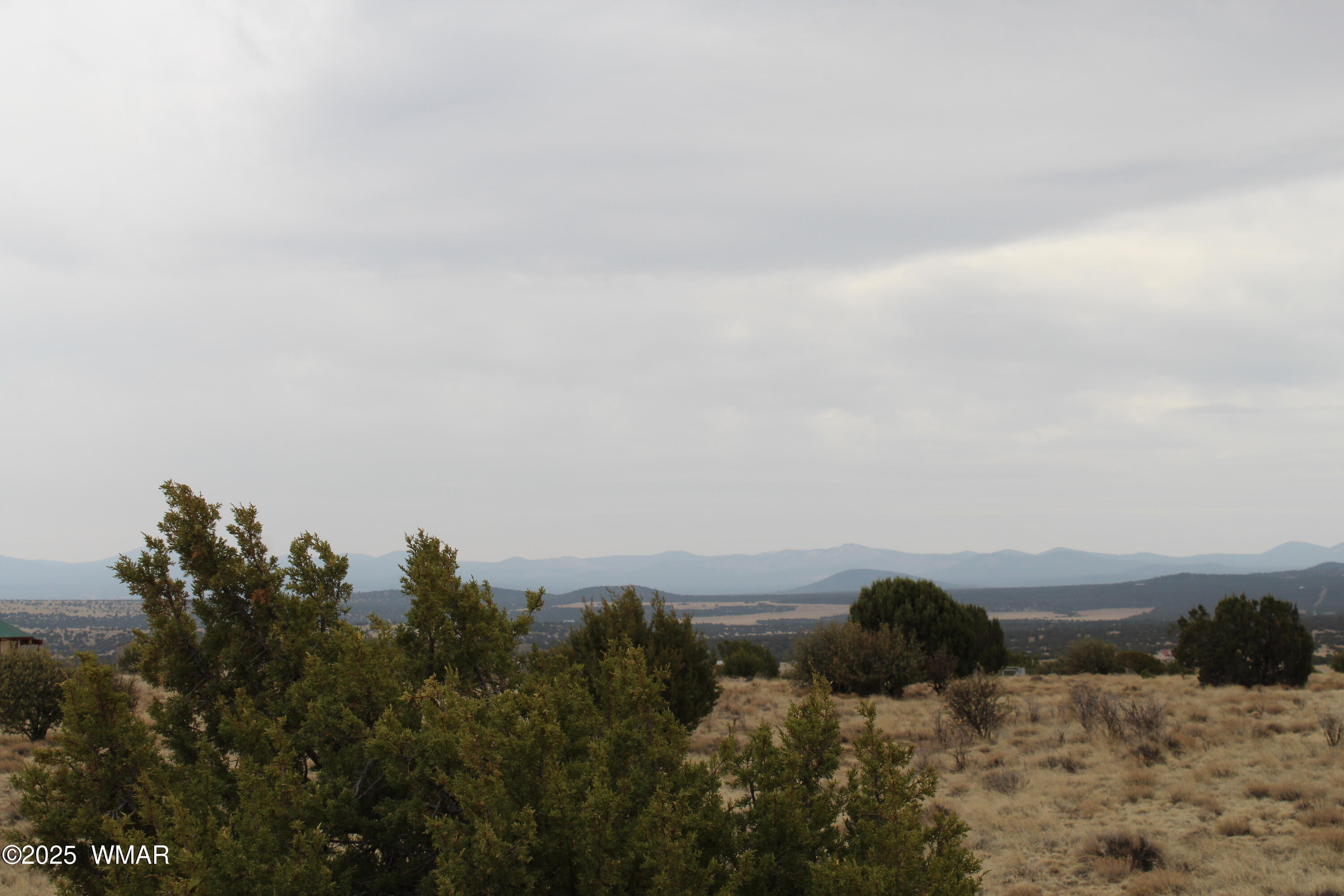 21 County Road Concho, AZ 85924 - Photo 3 of 22 a view of ocean with two and trees