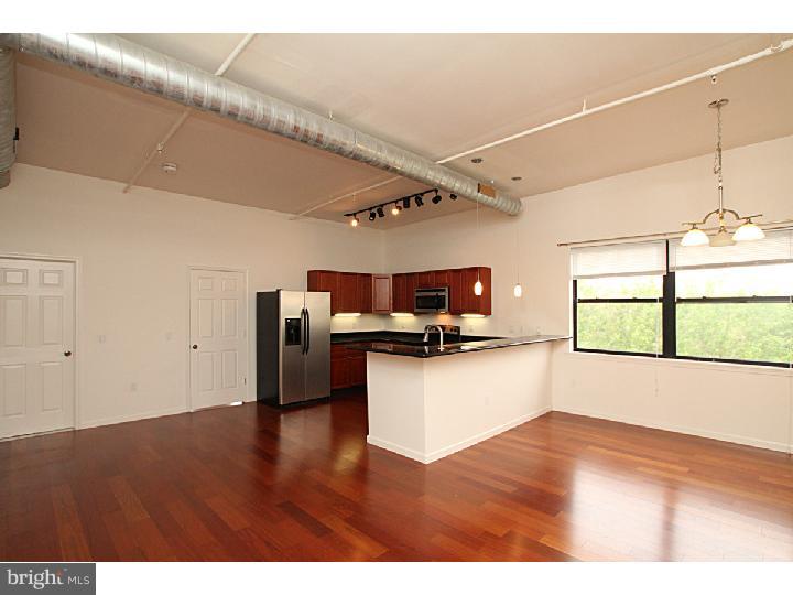 926 North 3rd Street, Unit 4D Philadelphia, PA 19123 - Photo 4 of 18