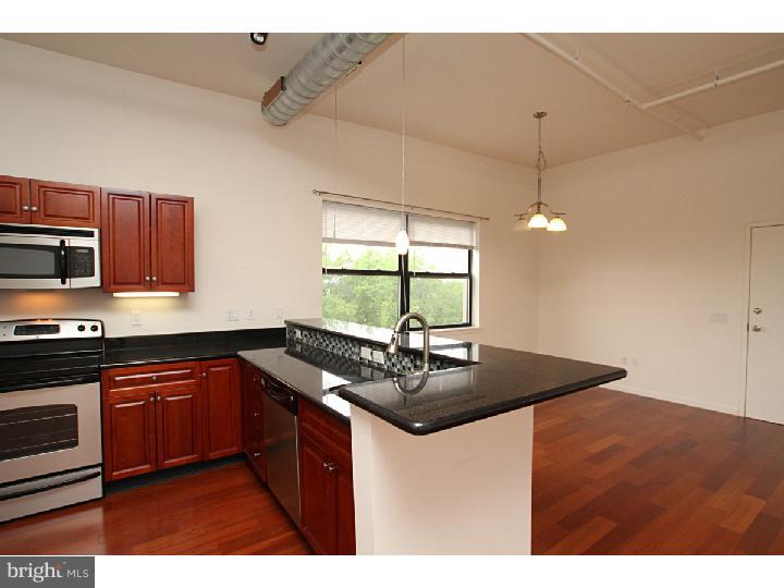 926 North 3rd Street, Unit 4D Philadelphia, PA 19123 - Photo 6 of 18