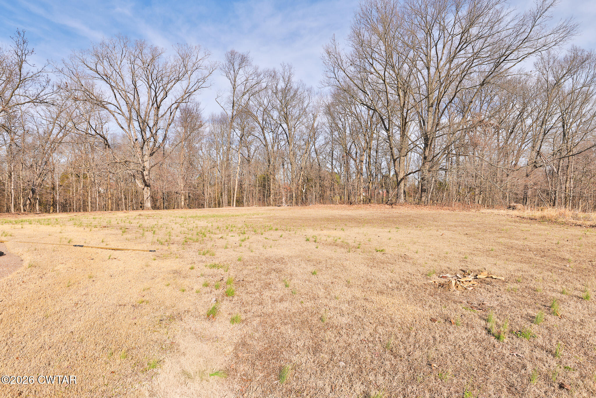 295 Adams Road Greenfield, TN 38230 - Photo 28 of 35 a view of yard covered with snow