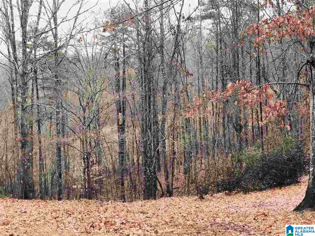 30899 Highway 431 Heflin, AL 36264 - Photo 31 of 42