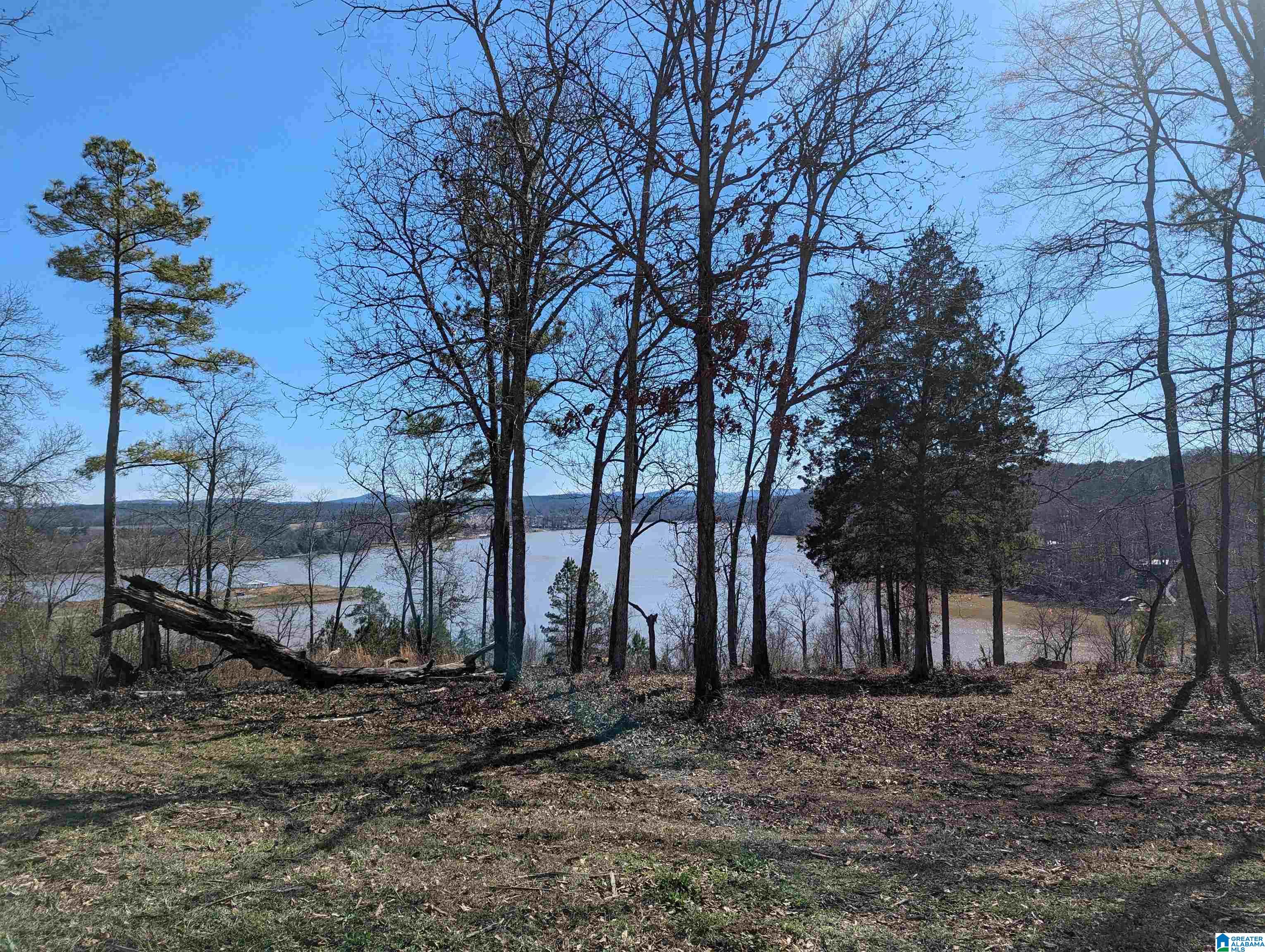 0 Overlook Ridge Lincoln, AL 35096 - Photo 1 of 33