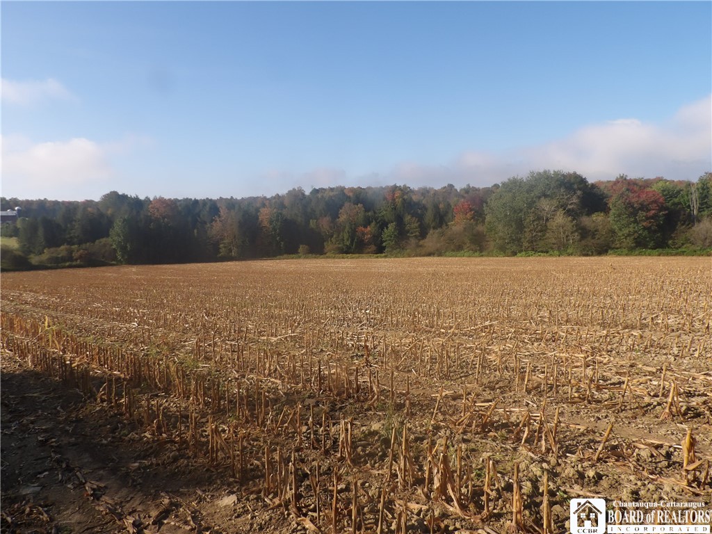 0 Cabbage Hill Road Clymer, NY 14724 - Photo 1 of 20