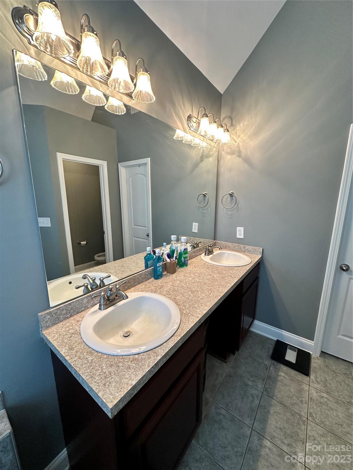 109 Windstone Drive Troutman, NC 28166 - Photo 13 of 22 a bathroom with a sink a vanity and a mirror
