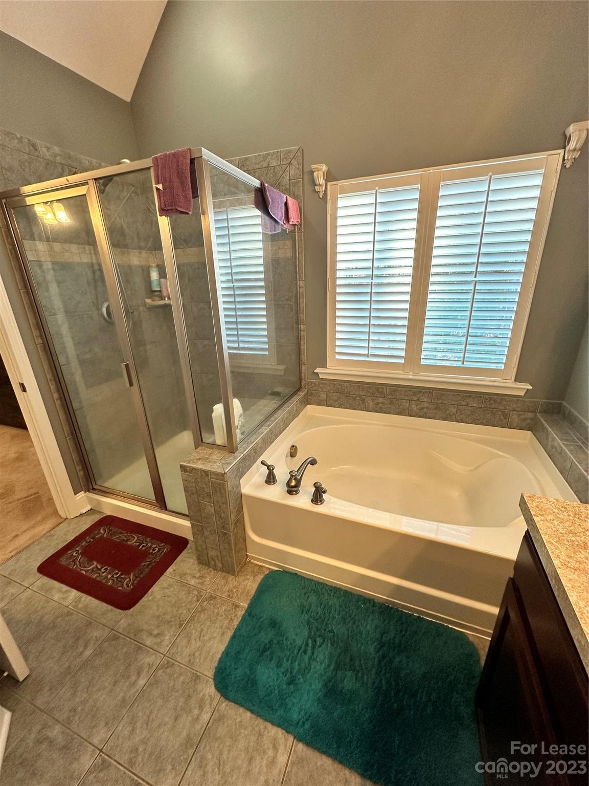 109 Windstone Drive Troutman, NC 28166 - Photo 14 of 22 a bathroom with a bathtub and a shower