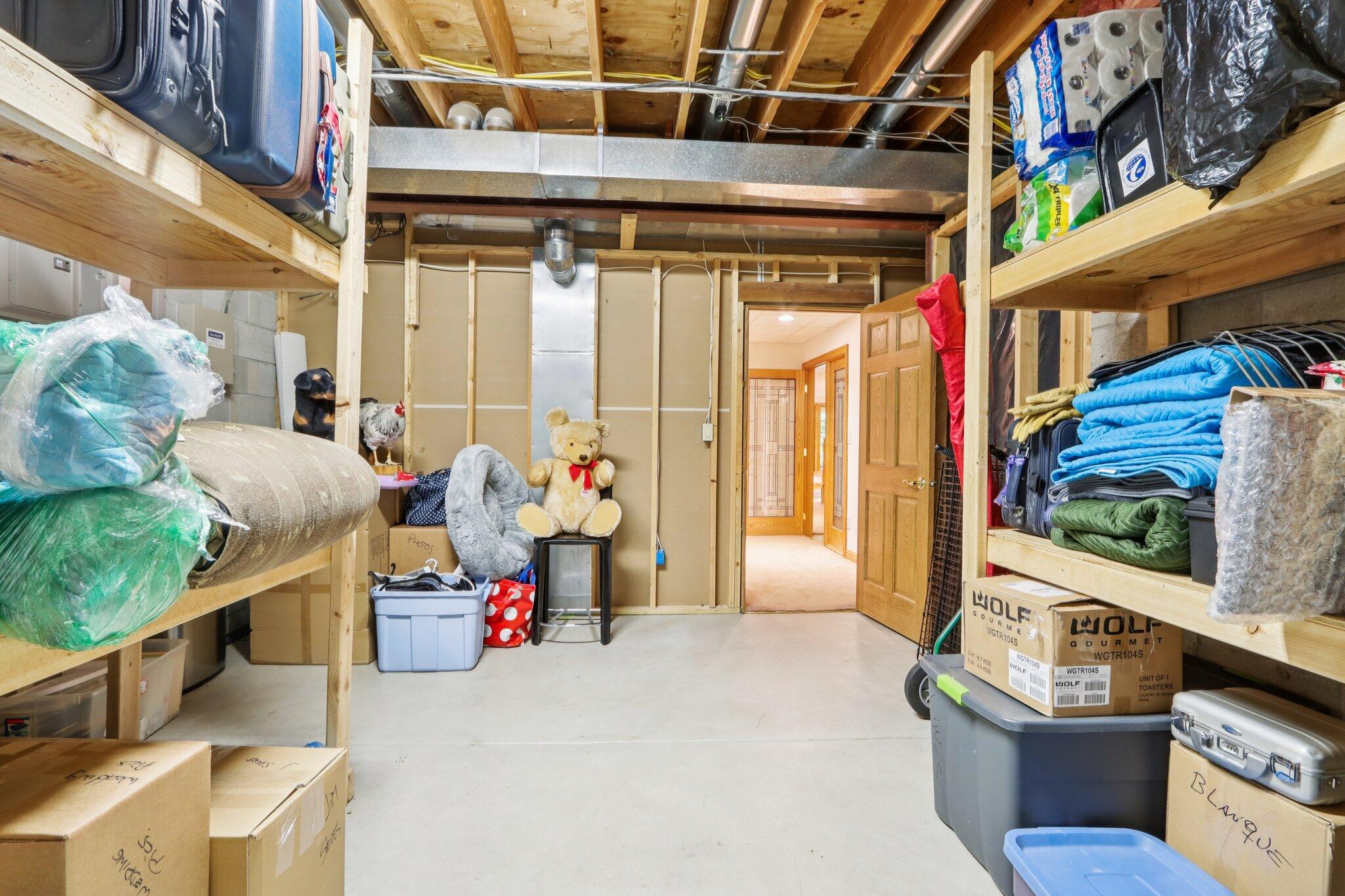 W332S9291 Red Brae Drive Mukwonago, WI 53149 - Photo 97 of 119 Lower Storage