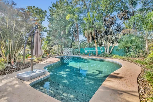 a view of a park with large trees