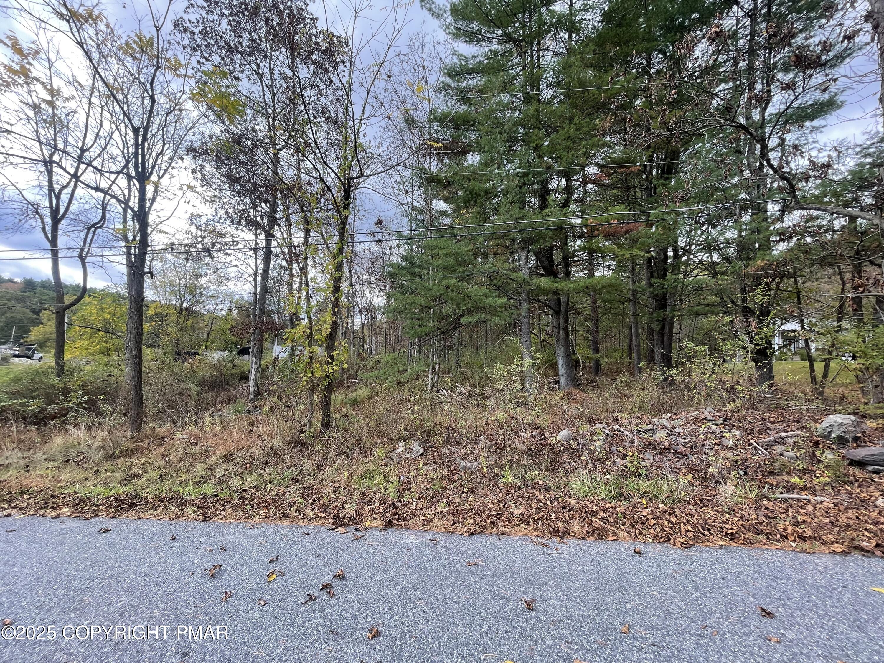 Doll Road Stroudsburg, PA 18360 - Photo 4 of 6 a backyard of a house with lots of green space
