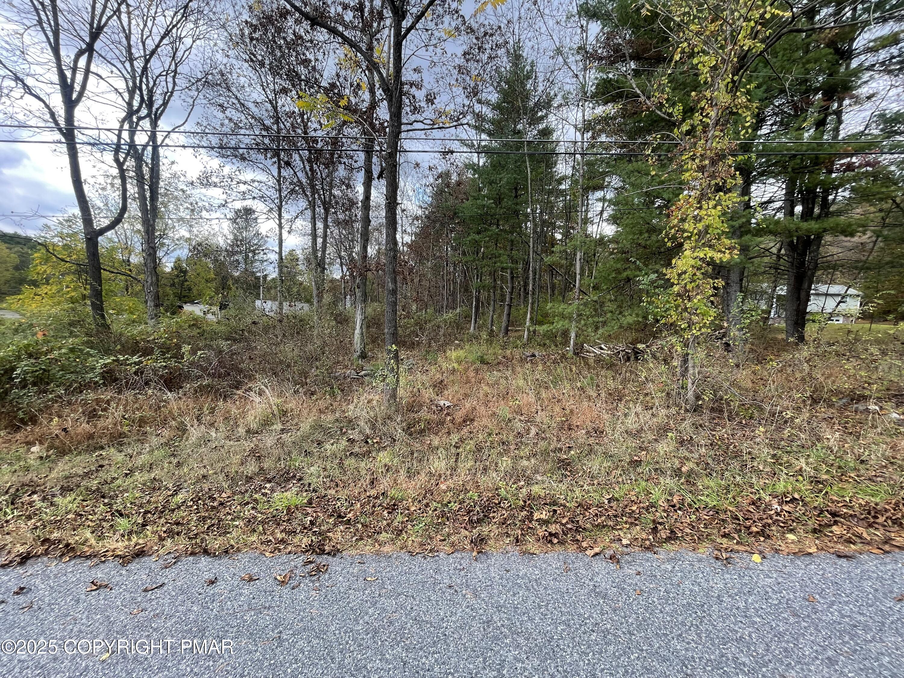 Doll Road Stroudsburg, PA 18360 - Photo 5 of 6 a view of forest