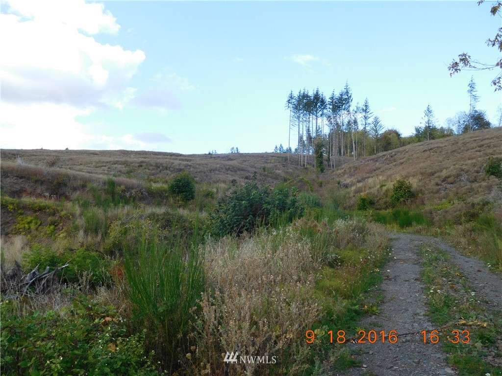 0 Green Mt Road Woodland, WA 98674 - Photo 8 of 9 Gallery Image 8
