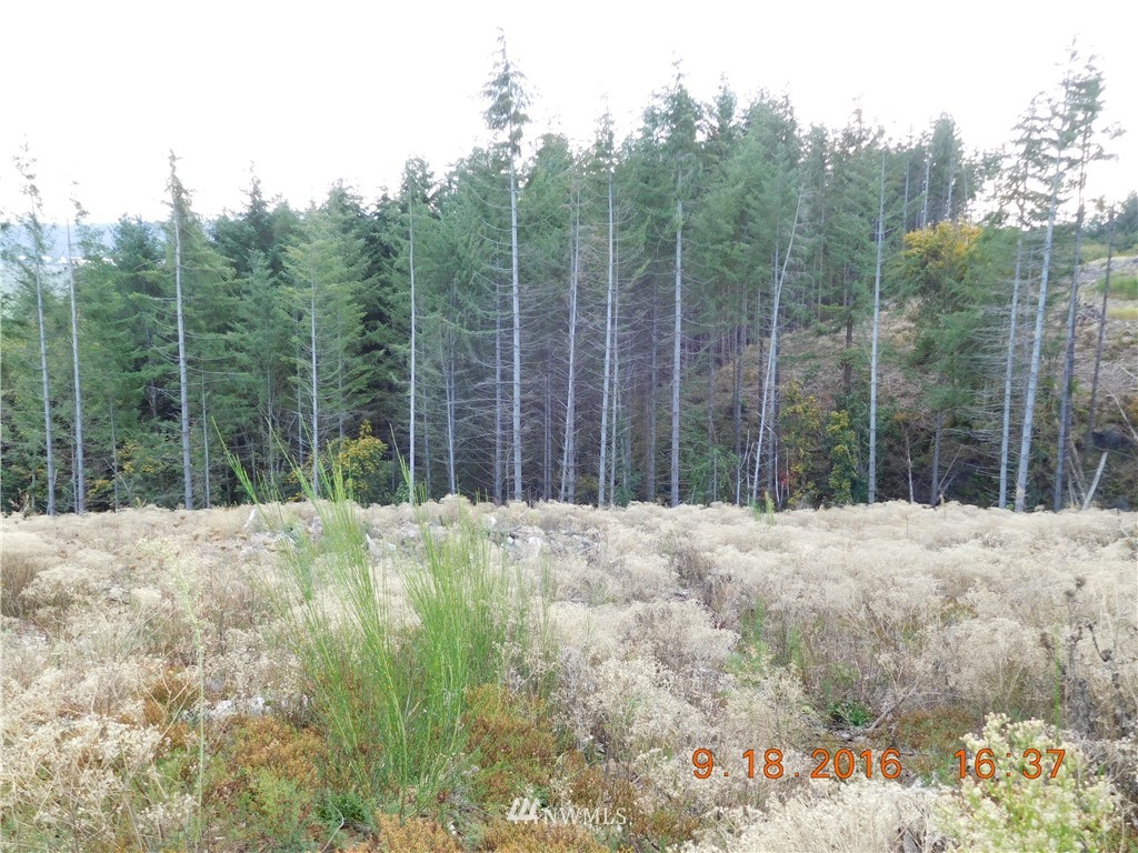 0 Green Mt Road Woodland, WA 98674 - Photo 9 of 9 Gallery Image 9