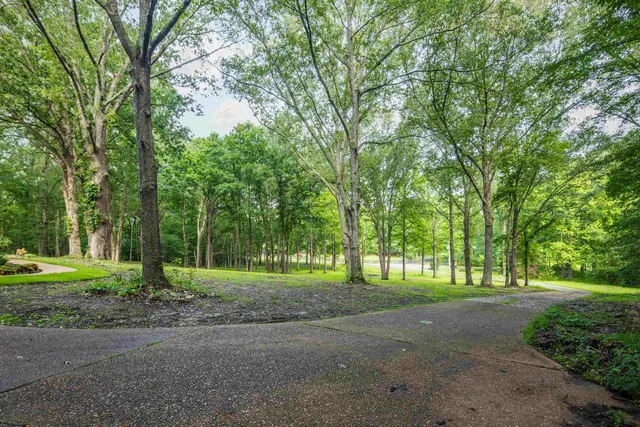 $699,000 | 95 Hancock Cove, Eads, TN 38028