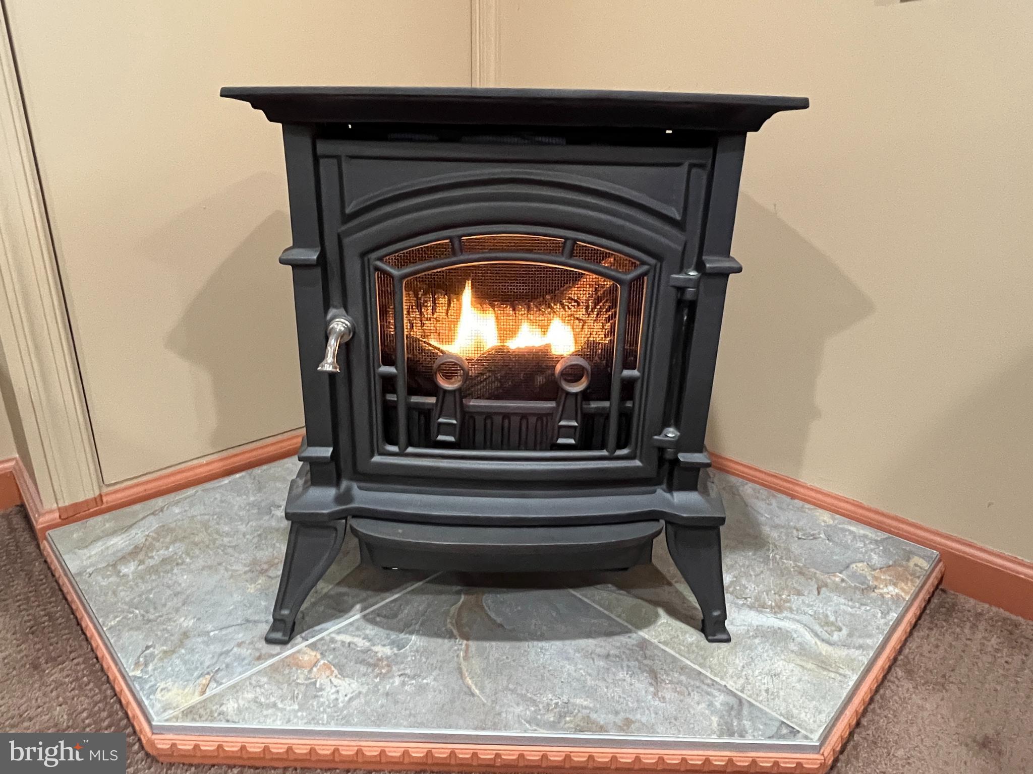 441 Hightop Road West Chester, PA 19380 - Photo 22 of 35 Cozy ventless natural gas fireplace
